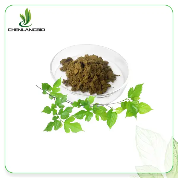 Mulberry Leaf Extract Powder Mulberry Leaf Extract Powder